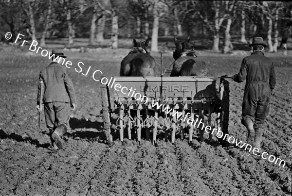 SOWING WINTER WHEAT MACHINE